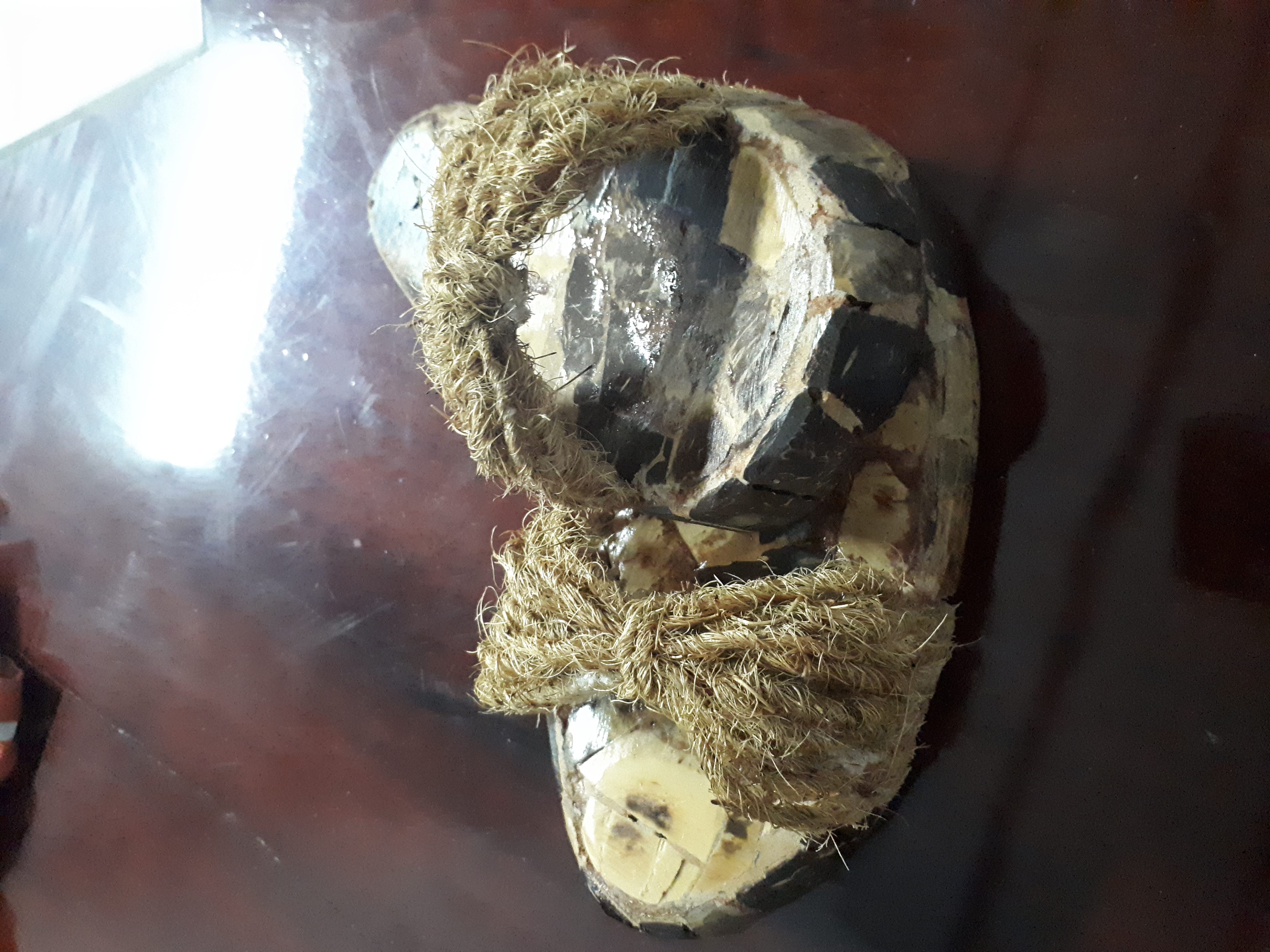Slideshow Image 1